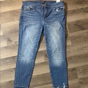 American Eagle Outfitters Women's Faded Blue Skinny Jeans